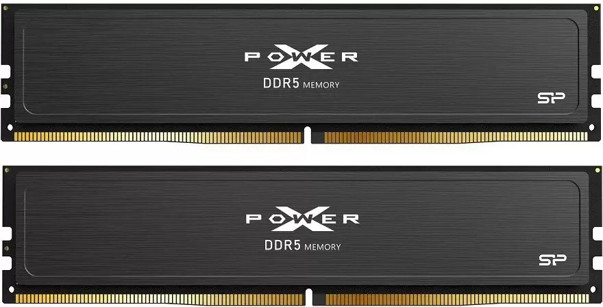 Silicon Power XPower Pulse 2x32ГБ DDR5 6000 МГц SP064GXLWU60BFDJ