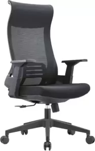Офисное кресло SitUp Record Lux Black (сетка Black/Black)