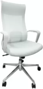 SitUp Record White Chrome (Light Grey)