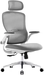 SitUp Sity White Chrome (сетка Grey/Grey)
