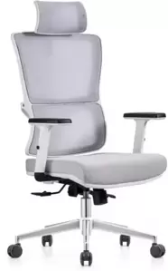 Офисное кресло Situp Victoria Chrome (сетка Light Gray/ткань Light Gray) фото