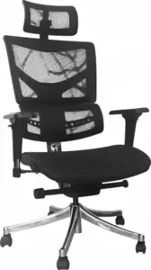 SitUp Viking Chrome (black/black)