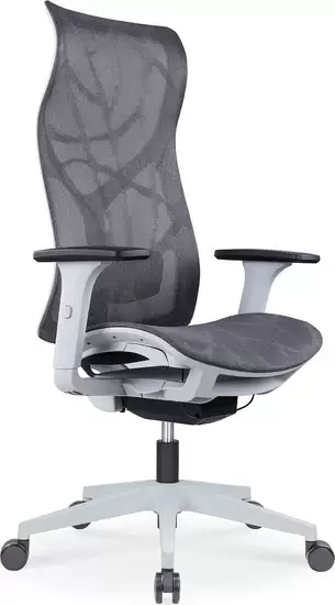 SitZone CH-283A-HS-P1 (серый/белый)