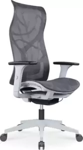 Кресло офисное SitZone CH-283A-HS-P1 (серый/белый) фото