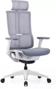 Кресло офисное SitZone E-303-001A-P1-WH (серый/белый) фото