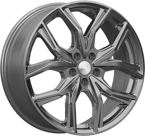 Skad Арика 8x19 5x108 ET48 D63,35