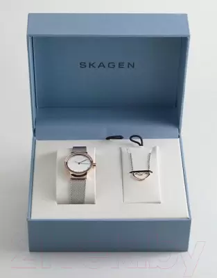 Наручные часы Skagen SKW1101 фото
