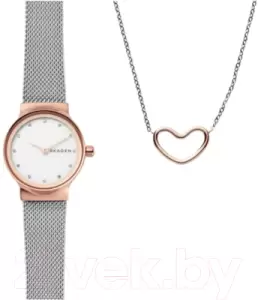 Наручные часы Skagen SKW1101 фото