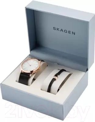 Наручные часы Skagen SKW1102 фото
