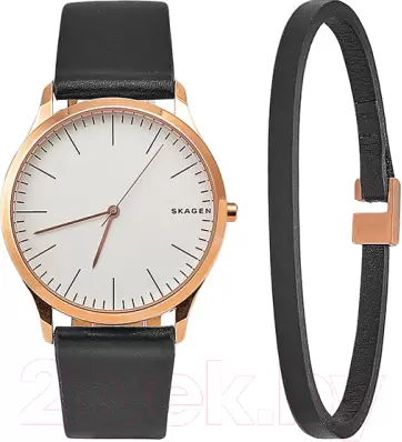 Наручные часы Skagen SKW1102 фото