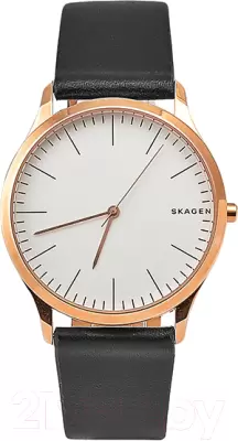 Наручные часы Skagen SKW1102 фото