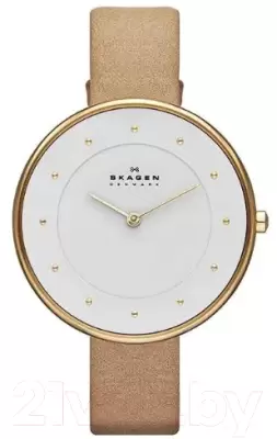 Наручные часы Skagen SKW2137 фото