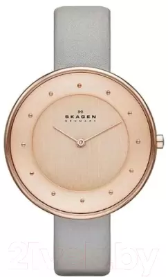 Наручные часы Skagen SKW2139 фото