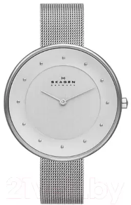 Наручные часы Skagen SKW2140 фото