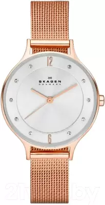 Наручные часы Skagen SKW2151 фото