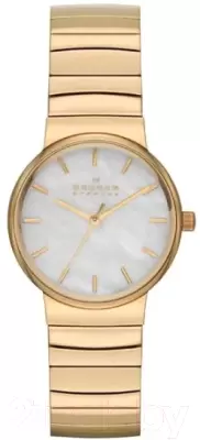 Наручные часы Skagen SKW2199 фото
