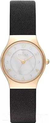 Наручные часы Skagen SKW2209 фото
