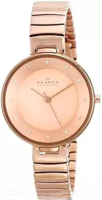 Наручные часы Skagen SKW2227 фото