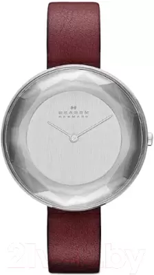 Наручные часы Skagen SKW2273 фото