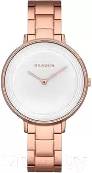 Наручные часы Skagen SKW2331 фото