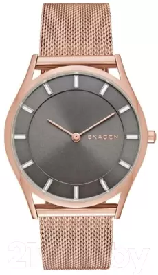 Наручные часы Skagen SKW2378 фото
