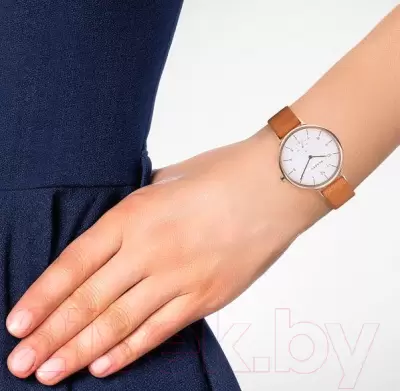 Наручные часы Skagen SKW2405 фото