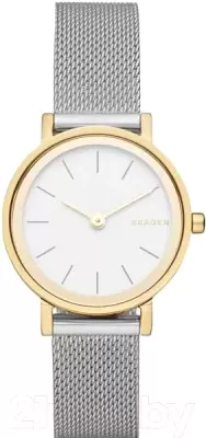 Наручные часы Skagen SKW2445 фото