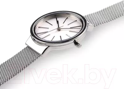 Наручные часы Skagen SKW2478 фото