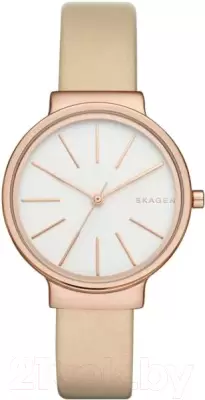 Наручные часы Skagen SKW2481 фото
