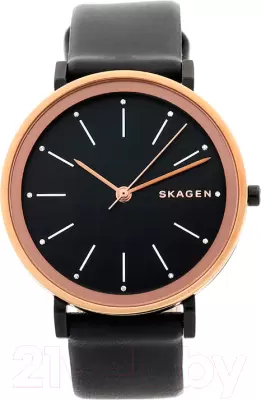 Наручные часы Skagen SKW2490 фото