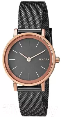 Наручные часы Skagen SKW2492 фото