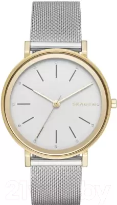 Наручные часы Skagen SKW2508 фото