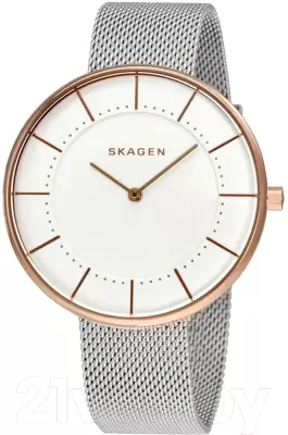 Наручные часы Skagen SKW2583 фото