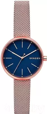 Наручные часы Skagen SKW2593 фото