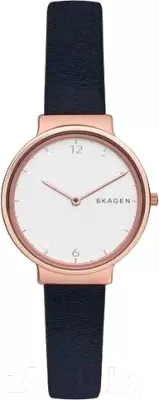 Наручные часы Skagen SKW2608 фото