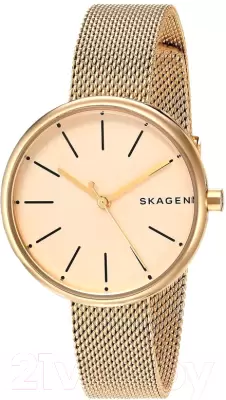 Наручные часы Skagen SKW2614 фото