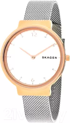 Наручные часы Skagen SKW2616 фото