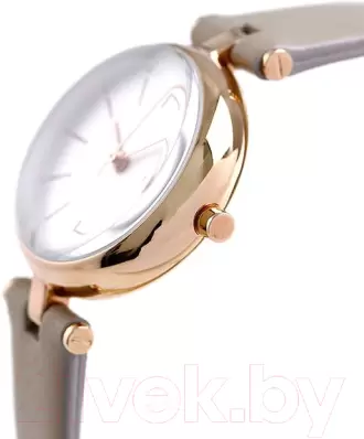 Наручные часы Skagen SKW2643 фото