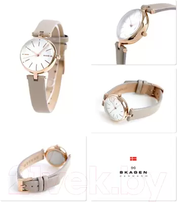 Наручные часы Skagen SKW2643 фото