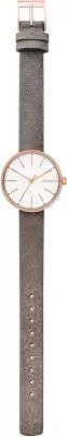 Наручные часы Skagen SKW2644 фото