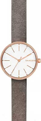 Наручные часы Skagen SKW2644 фото