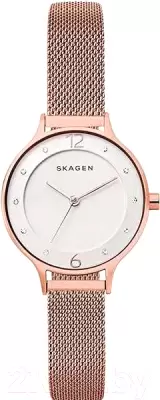 Наручные часы Skagen SKW2650 фото