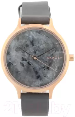 Наручные часы Skagen SKW2672 фото