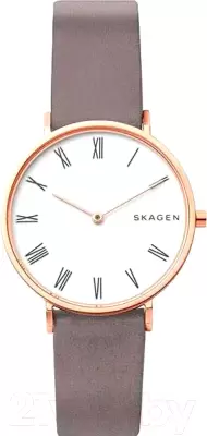 Наручные часы Skagen SKW2674 фото