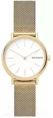 Наручные часы Skagen SKW2693 фото