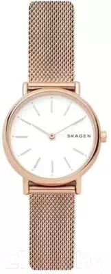 Наручные часы Skagen SKW2694 фото