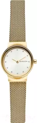 Наручные часы Skagen SKW2717 фото