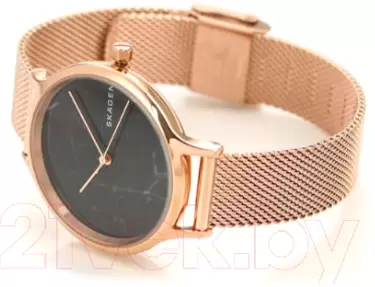 Наручные часы Skagen SKW2721 фото