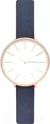 Наручные часы Skagen SKW2723 фото