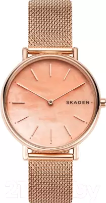 Наручные часы Skagen SKW2732 фото